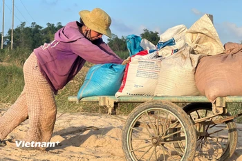 Đà Nẵng: Nông dân thẫn thờ nhìn cát phủ kín vụ mùa ở Gò Nổi 