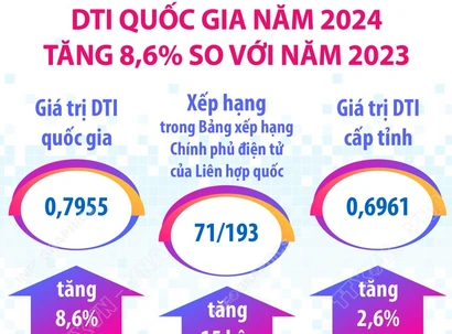 DTI quốc gia năm 2024 tăng 8,6% so với năm 2023