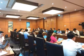 Các đại biểu thảo luận tại tổ, trong khuôn khổ Kỳ họp không thường lệ thứ nhất, Quốc hội khóa XVI. (Ảnh: PV/Vietnam+)