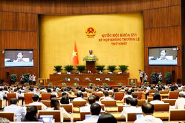 Quang cảnh phiên họp (Ảnh: Doãn Tấn/TTXVN) (Ảnh: Doãn Tấn/TTXVN)
