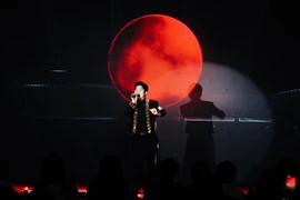 Ca sỹ Tùng Dương biểu diễn tại Hội nghị. Anh là người hoạt động nghệ thuật đồng thời cũng là người có những chia sẻ tích cực trên mạng xã hội. (Ảnh: PV/Vietnam+) 