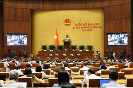 Quang cảnh phiên họp. (Ảnh: Doãn Tấn/TTXVN)