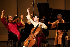 Nghệ sỹ, Tiến sỹ Đinh Hoài Xuân là người khởi xướng chuỗi hòa nhạc Cello Fundamento. (Ảnh: PV/Vietnam+)