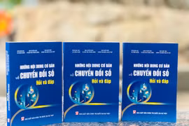 Cuốn sách cung cấp kiến thức cơ bản về chuyển đổi số. (Ảnh: PV/Vietnam+)