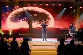 Ca sỹ-nhạc sỹ Dương Trường Giang trong đêm nhạc "Giang Phố." (Ảnh: CTV/Vietnam+)