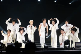 Các ca sỹ nổi tiếng có ảnh hưởng rất lớn đến thẩm mỹ, tư duy, lối sống của giới trẻ hiện nay. (Ảnh minh họa: CTV/Vietnam+)