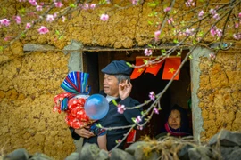 Sắc Xuân bên ô cửa sổ. (Ảnh: Mạnh Cường)