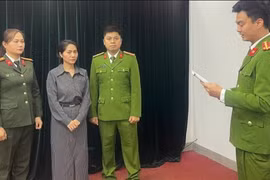 Nhà sản xuất 'Về đây bốn cánh chim trời' có thể đối mặt với hình thức xử lý nào?