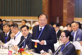 Giáo sư, Tiến sỹ Lê Thành Nhân, kiều bào Pháp chia sẻ tham luận tại buổi gặp mặt. (Ảnh: CTV/Vietnam+)