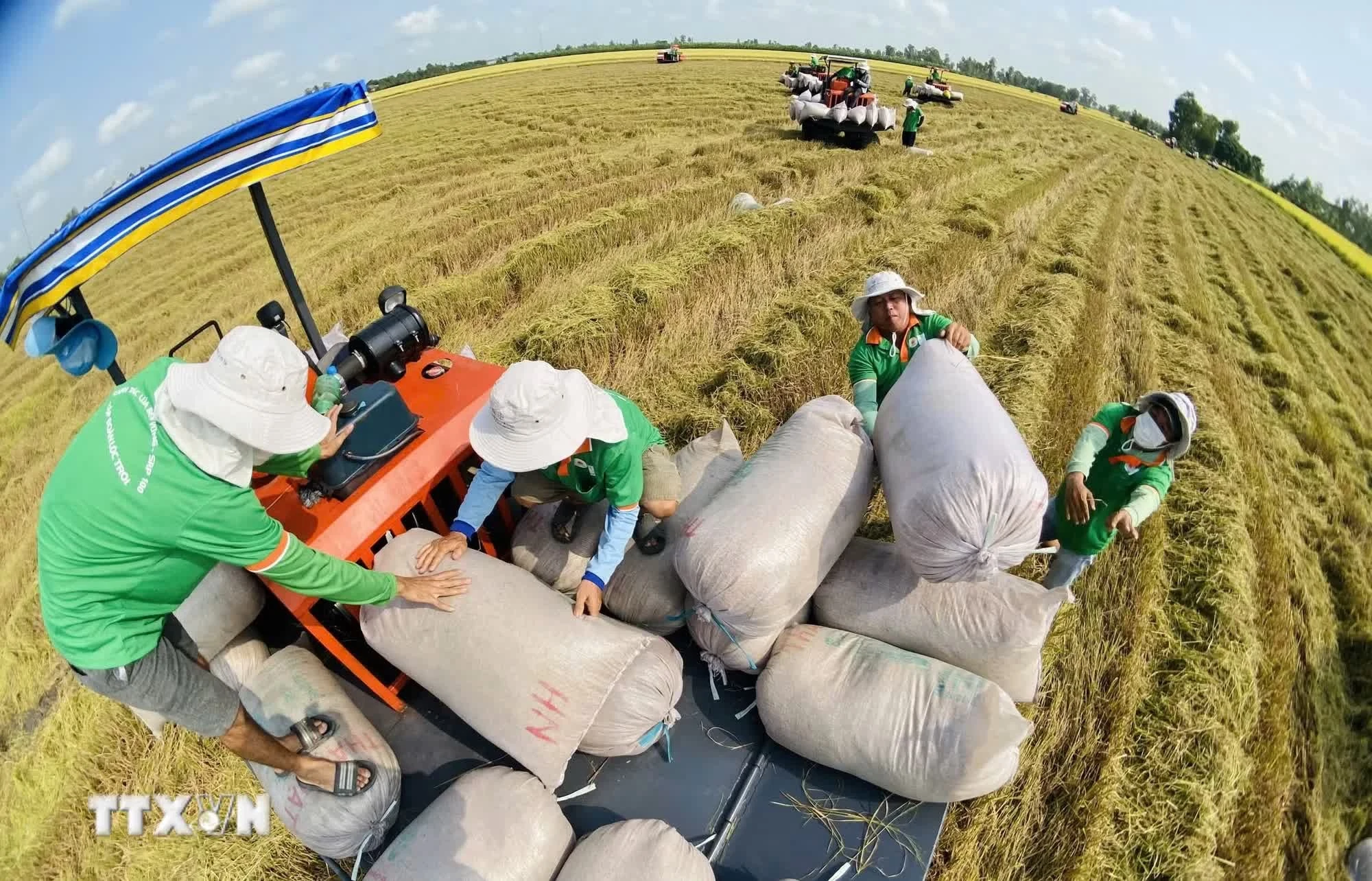Việt Nam - châu Phi kết nối tri thức, mở rộng dư địa phát triển nông nghiệp