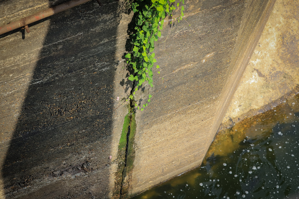 Cây cỏ mọc ra từ vết nứt trên thành cống đê Liên Mạc (Bắc Từ Liêm, Hà Nội). (Ảnh: Hoài Nam/Vietnam+)