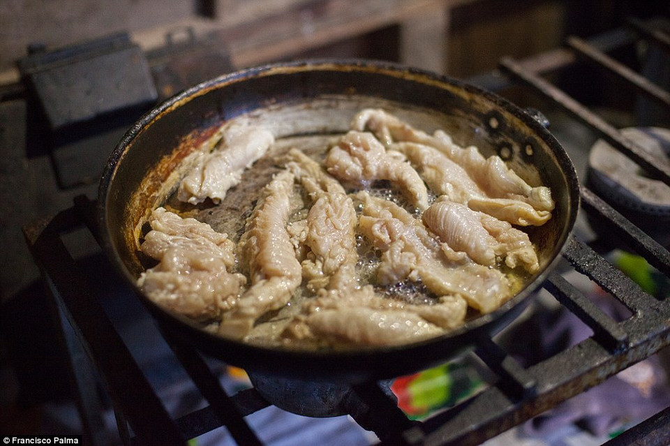 Thịt cá sấu là thức ăn được sử dụng từ thời văn minh Maya