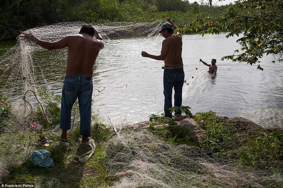Thợ săn cá sấu có thể đối mặt với án tù nếu bị bắt, nhưng do lợi nhuận cao nên họ vẫn cứ mạo hiểm.