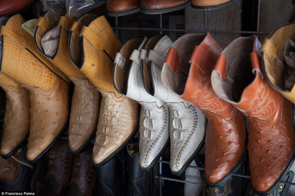 Giầy da cá sấu rất được ưa chuộng trên khắp thế giới