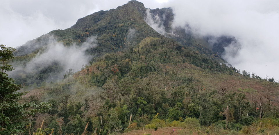 Nằm ở ranh giới giữa hai tỉnh Lai Châu và Lào Cai, Bạch Mộc là đỉnh núi cao thứ 4 trong số các ngọn núi ở nước ta với độ cao 3.046m. (Ảnh: Đức Hùng/Vietnam+)