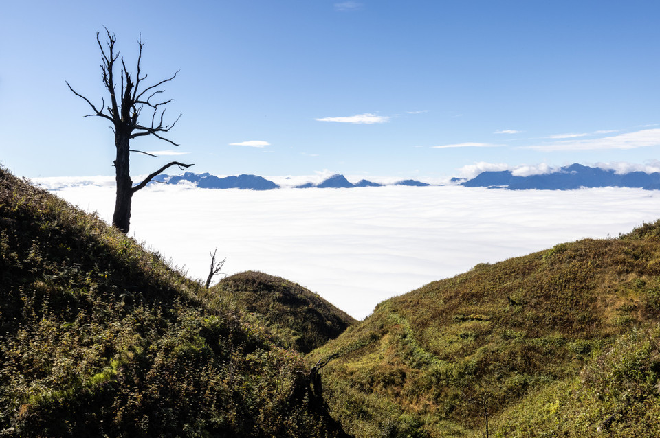 Nằm ở độ cao 2.826m so với mực nước biển, Lảo Thẩn thuộc thôn Phìn Hồ (Y Tý, Bát Xát, Lào Cai). Lảo Thẩn còn được biết đến với những tên gọi khác như: Hâu Pông San hay Nhìu Cồ San bố và được mệnh danh là “nóc nhà Y Tý”. (Ảnh: Nguyễn Anh chiêm/Vietnam+)