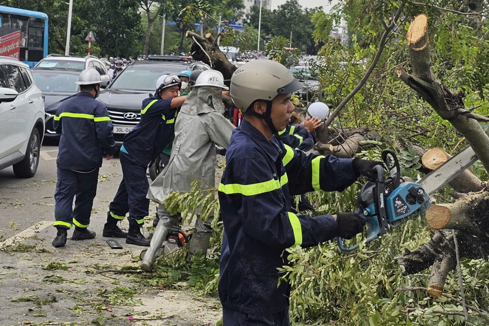 Đội cảnh sát phòng cháy, chữa cháy và cứu nạn, cứu hộ quận Nam Từ Liêm dọn dẹp cây đổ trên địa bàn đảm bảo giao thông thông suốt. (Ảnh: Hoài Nam/Vietnam+)