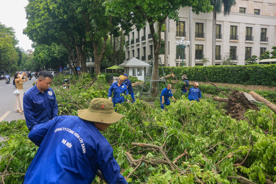 Công nhân công ty Công viên cây xanh Hà Nội dọn dẹp tại khu vực Ủy ban Nhân dân thành phố Hà Nội. (Ảnh: Hoài Nam/Vietnam+)