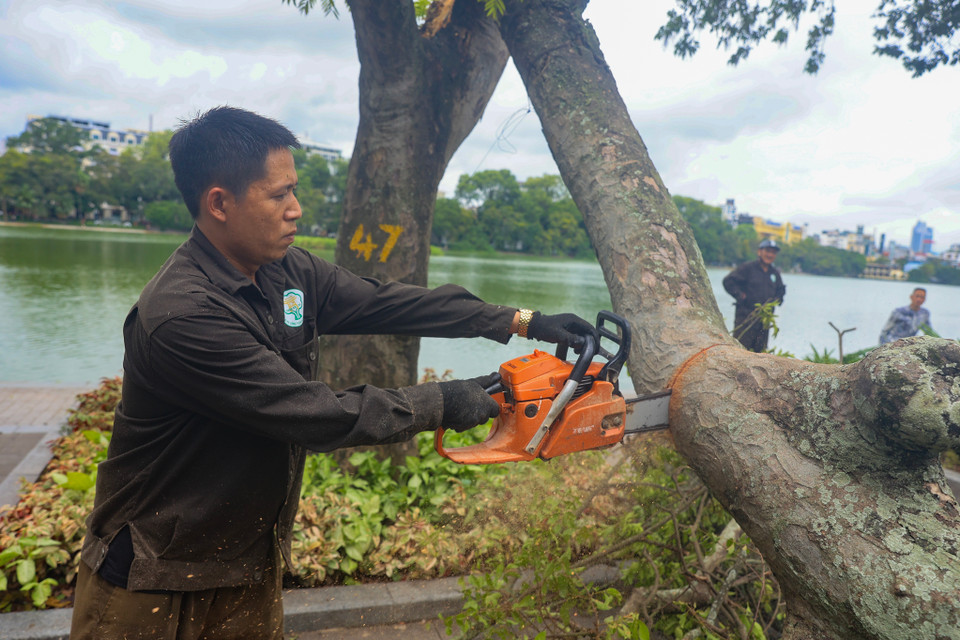 Những cây gãy cành được cắt xuống để đảm bảo an toàn cho người dân qua lại. (Ảnh: Hoài Nam/Vietnam+)