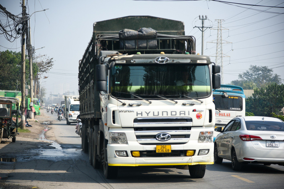 Mặc dù đường nhỏ, hẹp nhưng hàng ngày phải ‘gánh’ hàng nghìn lượt xe container, xe đầu kéo, xe tải hạng nặng. (Ảnh: PV/Vietnam+)