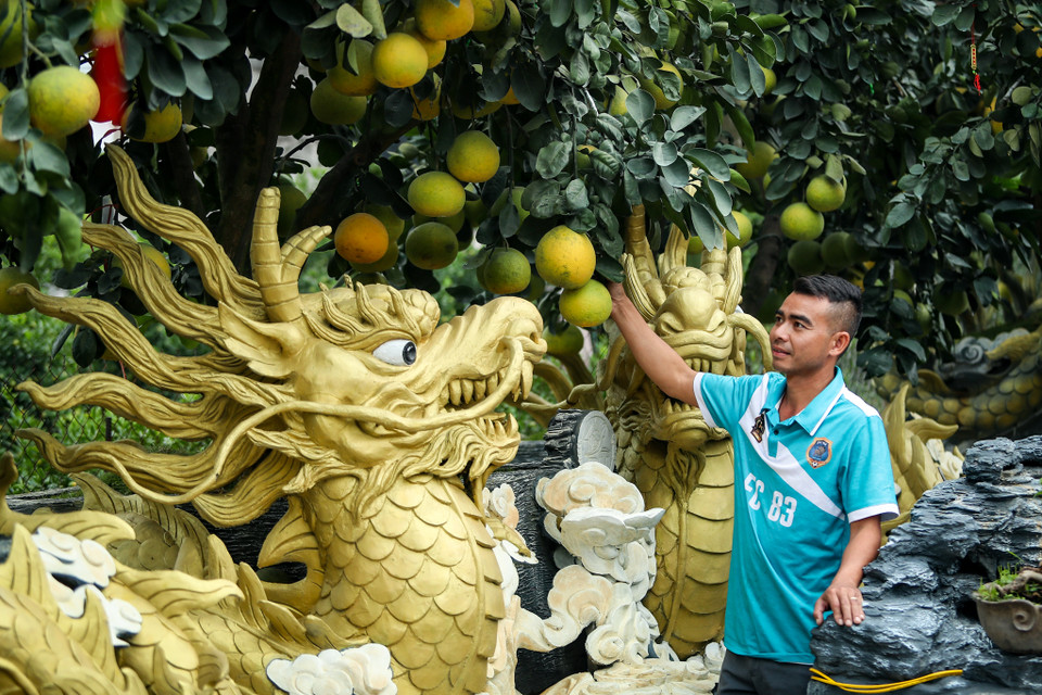 Cũng tại Văn Giang (Hưng Yên), anh Lý Văn Đức đã chế tác các chậu đựng bưởi bằng ximăng thành hình dáng các con vật khổng lồ như rồng, thuyền... bán với giá hàng trăm triệu đồng. (Ảnh: PV/Vietnam+)