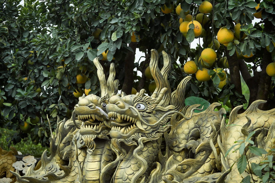 Để tạo ra các tác phẩm này, anh Đức đã phải lựa chọn những cây bưởi có dáng thế đẹp, sau đó tiến hành thiết kế chậu sao cho vừa vặn để khi hoàn thành sẽ có những tác phẩm đẹp nhất. (Ảnh: PV/Vietnam+)