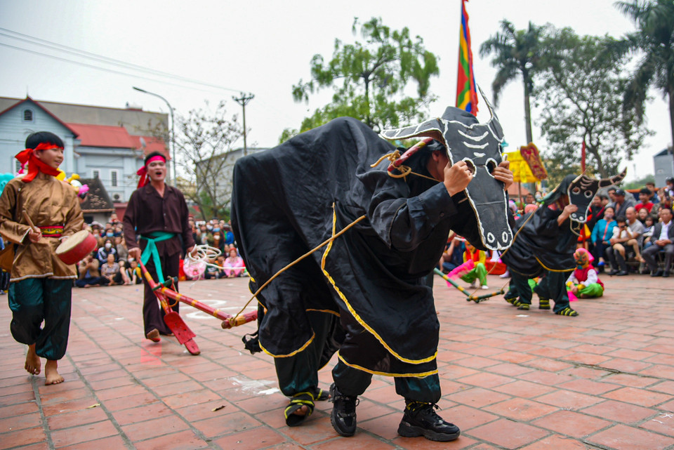 Mở đầu là hội thi canh nông, trên sân đình hai chàng rể đóng vai thợ cày mặc quần áo nâu chít khăn trên đầu, đi theo là một đầy tớ mang trống khẩu để cổ vũ, còn hai người đóng làm trâu mặc quần áo đen, đeo mặt nạ. (Ảnh: PV/Vietnam+)