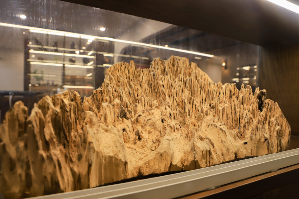 Dân gian tương truyền trầm hương là do hương trời bay theo gió đáp vào chỗ bị thương trên thân cây dó bầu, hòa vào nhựa chảy từ vết thương ấy. Trầm hương được coi là linh khí của đất trời. (Ảnh: Hoài Nam/Vietnam+)