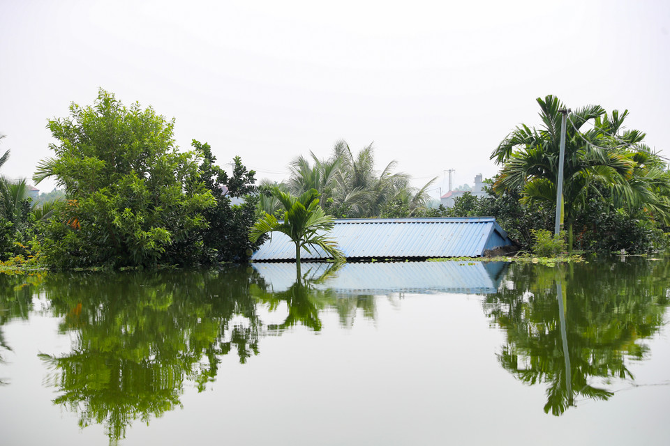 Có những vùng trũng nước ngập đến tận mái nhà. (Ảnh: Hoài Nam/Vietnam+)