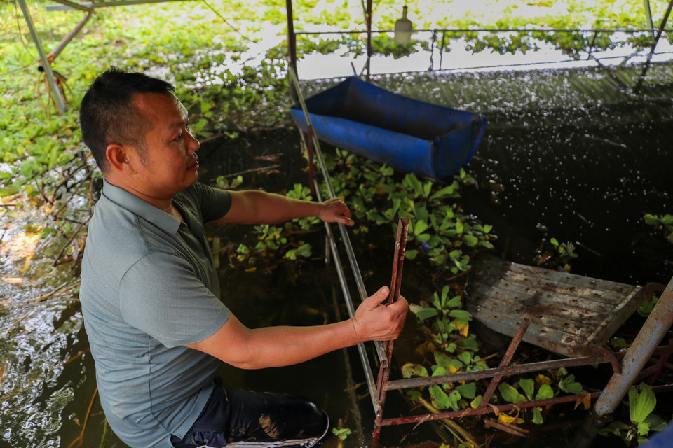 Hiện khu vực chuồng dê đã ngập sâu trong nước. (Ảnh: Hoài Nam/Vietnam+)