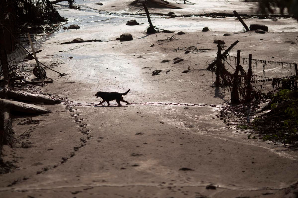 Nhập mô tả cho ảnh