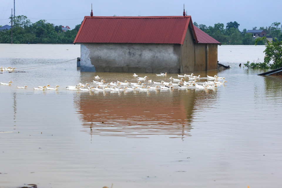 Có những nơi nước đã ngập sâu gần tới mái nhà. (Ảnh: Hoài Nam/Vietnam+)