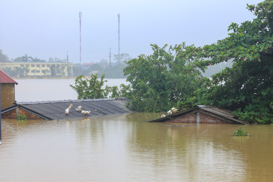 (Ảnh: Hoài Nam/Vietnam+)