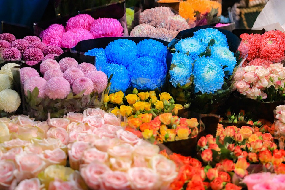 Quảng An từ lâu đã trở thành địa chỉ mua hoa quen thuộc, gần gũi. Hoa ở đây với đầy đủ màu sắc, chủng loại được đưa về từ khắp các vùng trồng hoa nổi tiếng của miền Bắc như Tây Tựu, Đông Anh, Gia Lâm, Phúc Yên… (Ảnh: Hoài Nam/Vietnam+)