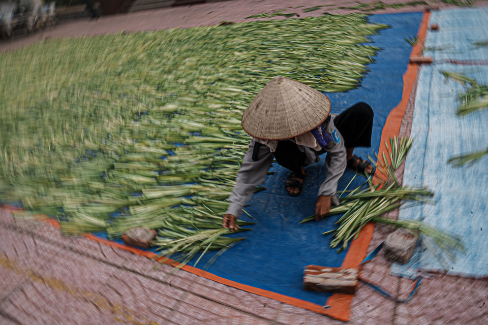 Theo chia sẻ của các bậc cao niên trong làng, công đoạn đầu tiên là chọn lá. Lá lụi được đem về vò trong cát rồi phơi nắng cho đến khi màu xanh của lá chuyển sang màu trắng bạc. (Ảnh: Hoài Nam/Vietnam+)