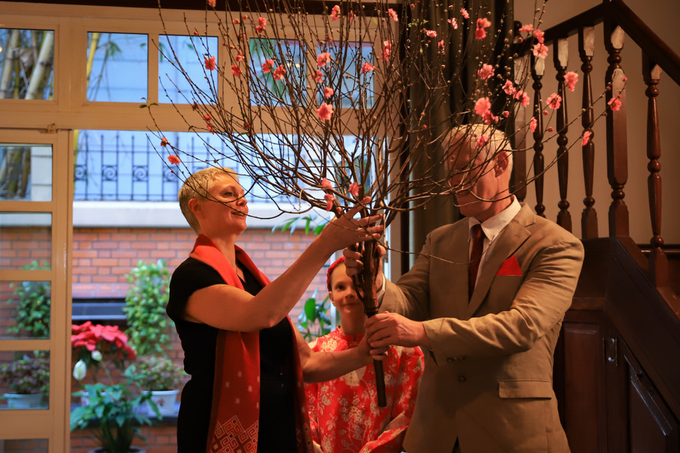 Trong những ngày cận Tết như thế này, Đại sứ Na Uy tại Việt Nam cũng đã tự tay trang trí tư dinh bằng hoa thược dược và hoa đào đặc trưng của Tết Việt. (Ảnh: Hoài Nam/Vietnam+)