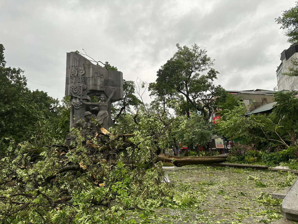 Một góc Vườn hoa Vạn Xuân