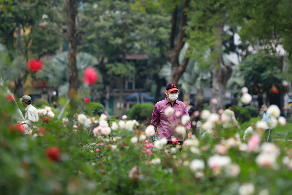 Người dân phấn khởi khi những không gian xanh công cộng đang dần thay đổi theo chiều hướng tích cực. (Ảnh: Hoài Nam/Vietnam+)