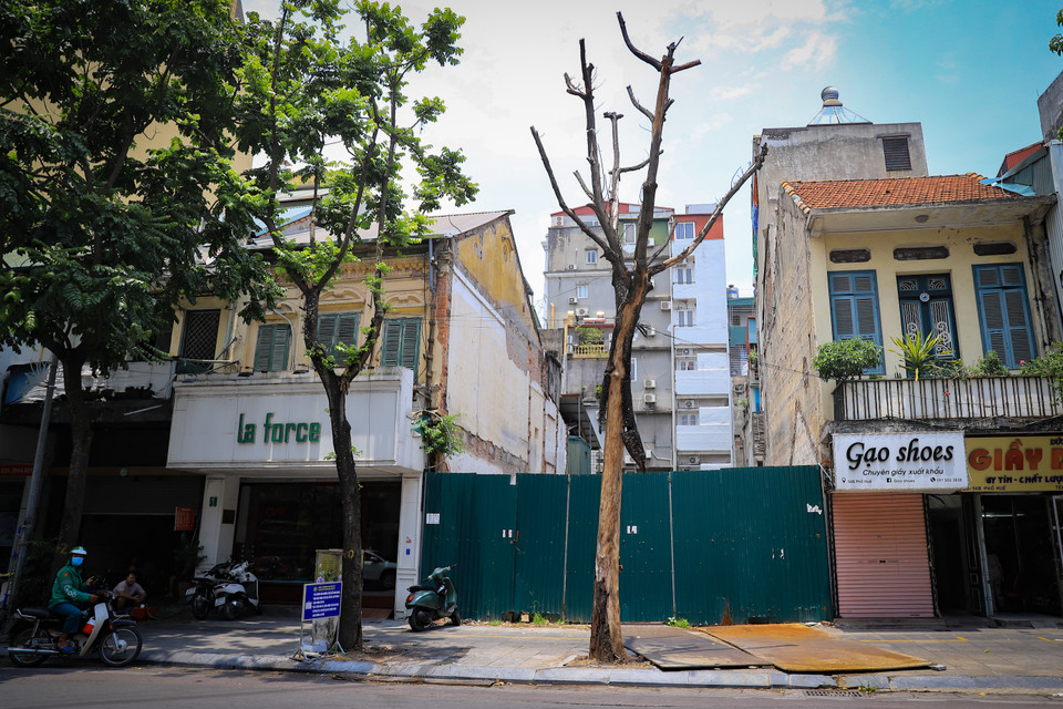 Nằm ở trung tâm Hà Nội, Phố Huế cũng là nơi có những cây chết khô nhưng chưa được xử lý. (Ảnh: Hoài Nam/Vietnam+)