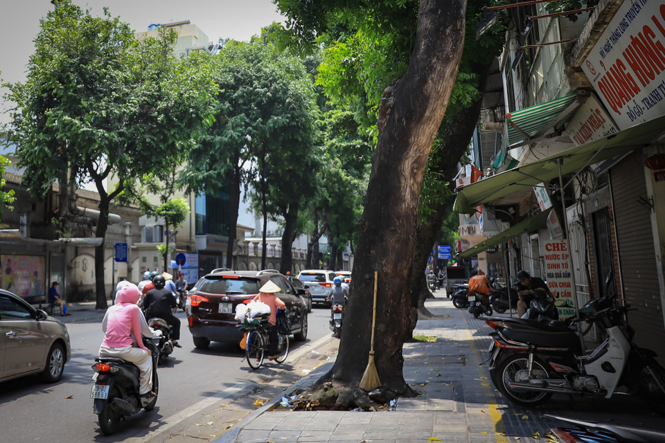 Anh Tú sinh sống tại phố Lò Đúc (Hai Bà Trưng, Hà Nội) cảm thấy bất an khi mùa mưa bão đến trong khi gốc cây chết khô này lại nghiêng về phía nhà dân. (Ảnh: Hoài Nam/Vietnam+)