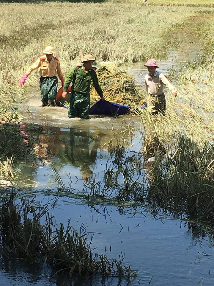 Nhiều bạn trẻ cũng đã vào tham gia bình luận và chia sẻ những hình ảnh này (Facebook Netter)