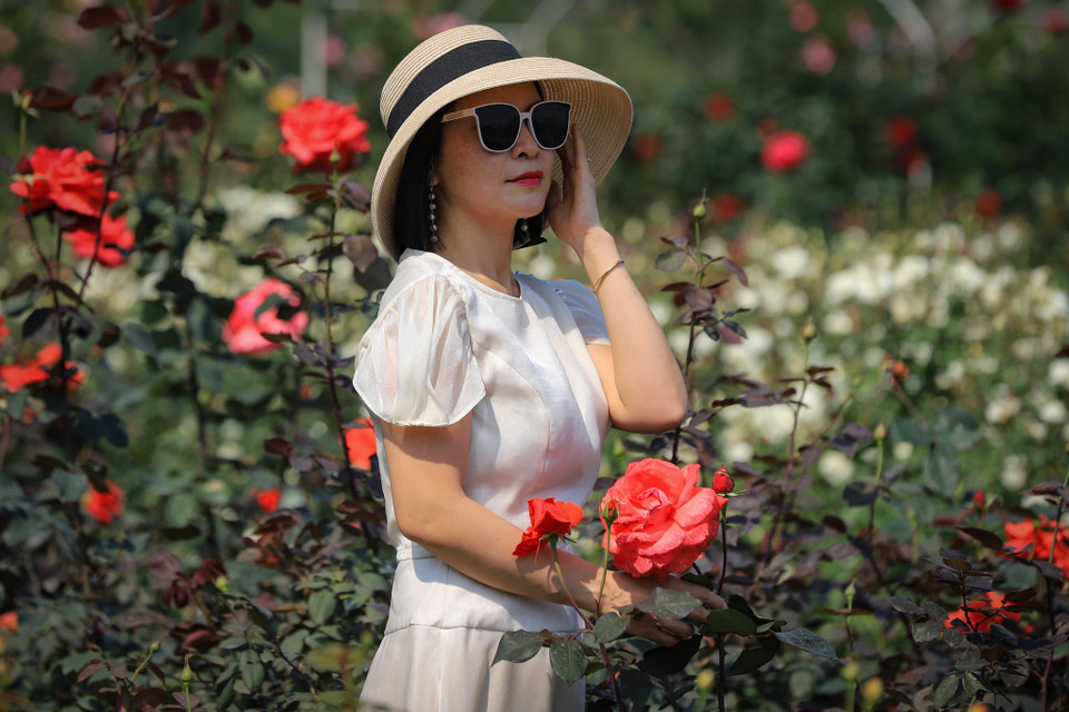 Đây là địa điểm lý tưởng dành cho phái đẹp đến ngắm hoa và chụp ảnh. (Ảnh: Hoài Nam/Vietnam+)