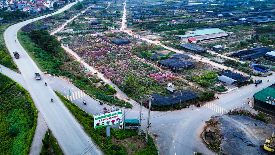Sau cơn bão số 3 (siêu bão Yagi), theo thống kê của chính quyền địa phương, hơn 100 ha trồng hoa, cây cảnh của xã Phụng Công (Văn Giang, Hưng Yên) bị ảnh hưởng. Ước tính thiệt hại hơn 500 tỷ đồng. (Ảnh: Hoài Nam/Vietnam+)