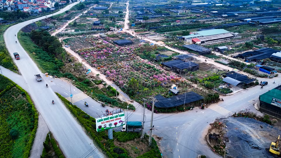 Sau cơn bão số 3 (siêu bão Yagi), theo thống kê của chính quyền địa phương, hơn 100 ha trồng hoa, cây cảnh của xã Phụng Công (Văn Giang, Hưng Yên) bị ảnh hưởng. Ước tính thiệt hại hơn 500 tỷ đồng. (Ảnh: Hoài Nam/Vietnam+)