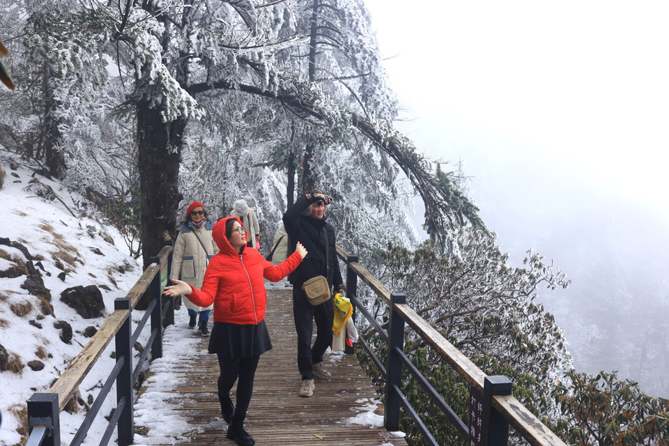 Trong dọc hành trình chinh phục ngọn núi này, du khách sẽ đắm mình trong không gian tuyết bao phủ cả chặng đường. (Ảnh: Hoài Nam/Vietnam+)