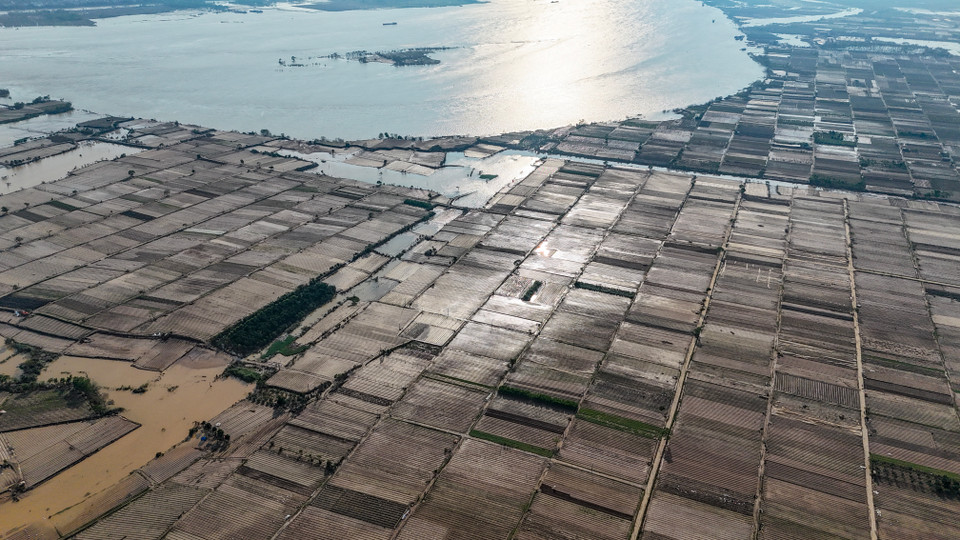 Bãi đất trống khổng lồ cạnh sông Hồng này cách đây 1 tuần là những cánh đồng rau, hoa màu xanh mướt, là nơi cung cấp rau xanh cho Hà Nội và các tỉnh lân cận. (Ảnh: Hoài Nam/Vietnam+)