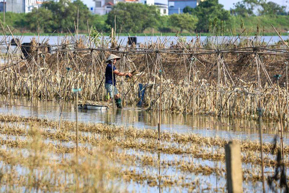 Người dân vẫn còn đang phải dọn dẹp 'tàn cuộc' sau trận lụt vừa qua. (Ảnh: Hoài Nam/Vietnam+)