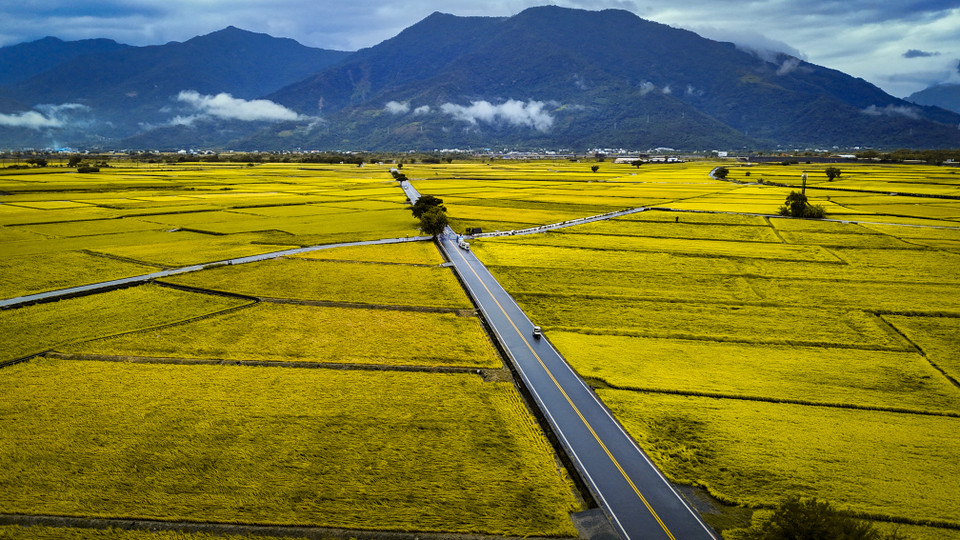 Chishang là một điểm đến lý tưởng cho những ai muốn tìm kiếm sự yên bình và tận hưởng vẻ đẹp của thiên nhiên với những cánh đồng lúa vàng óng ánh, những con đường đạp xe thơ mộng. (Ảnh: Hoài Nam/Vietnam+)