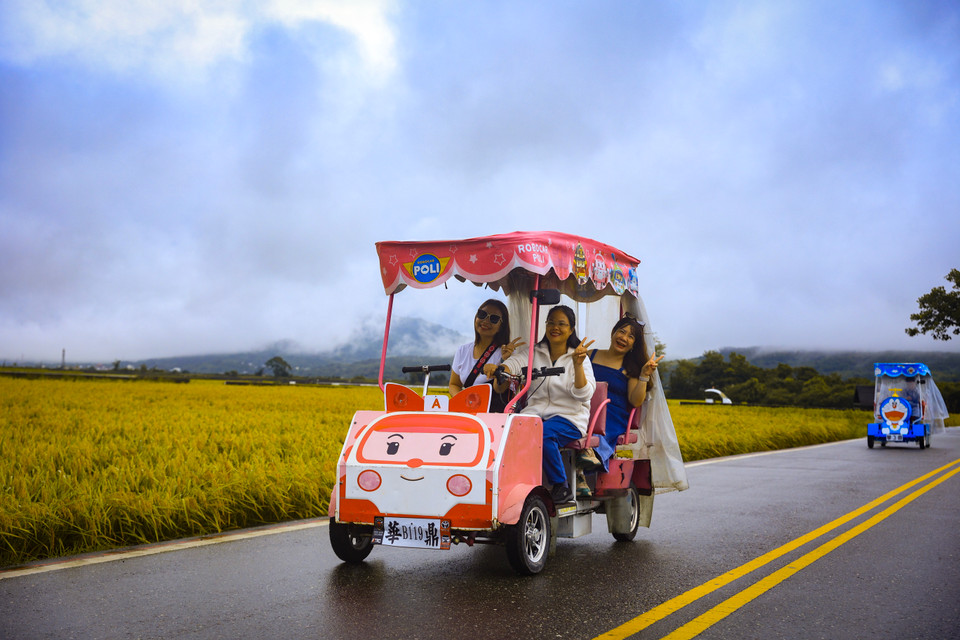 Du khách có thể thuê xe đạp, hoặc xe điện thong dong dạo quanh những con đường quê, hít thở bầu không khí trong lành và cảm nhận sự yên bình của chốn thôn dã. (Ảnh: Hoài Nam/Vietnam+)