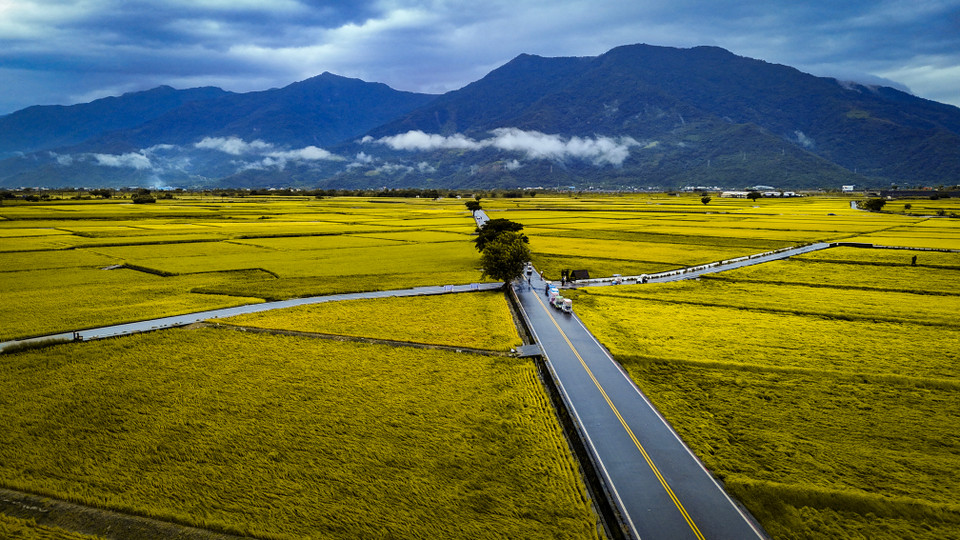 Chishang còn được biết đến như một vựa lúa gạo nổi tiếng của Đài Loan, nơi sản xuất gạo Tainung No. 67 – một giống gạo ngon nổi tiếng. (Ảnh: Hoài Nam/Vietnam+)